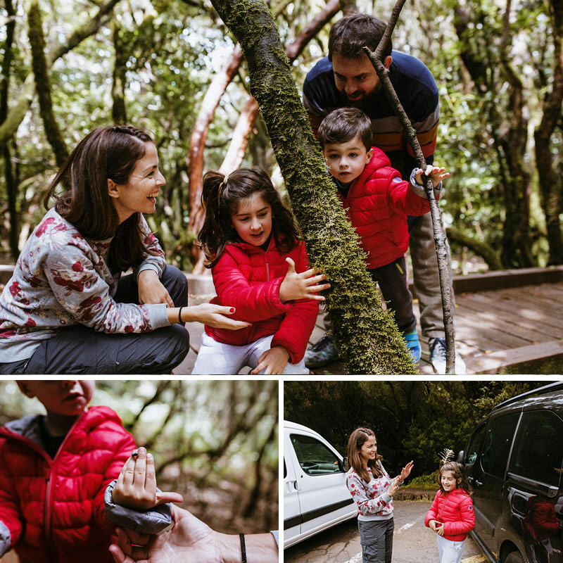 Reportaje foografico familiar en el bosque